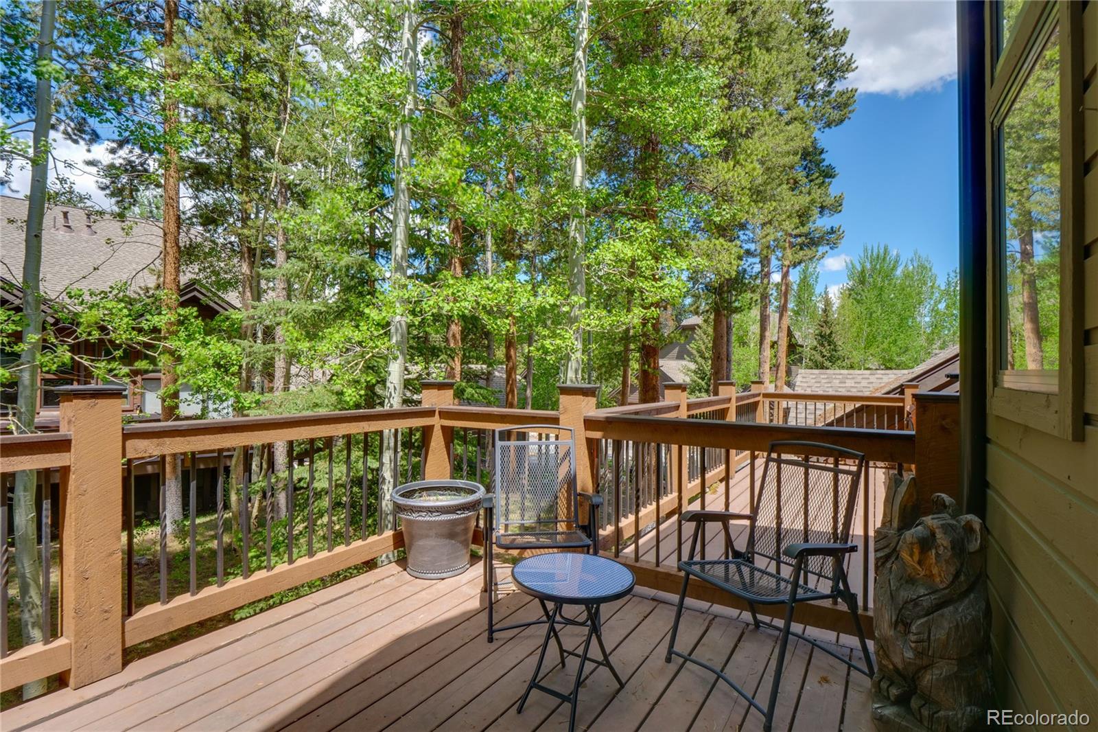 MLS Image #31 for 203  village point drive,breckenridge, Colorado