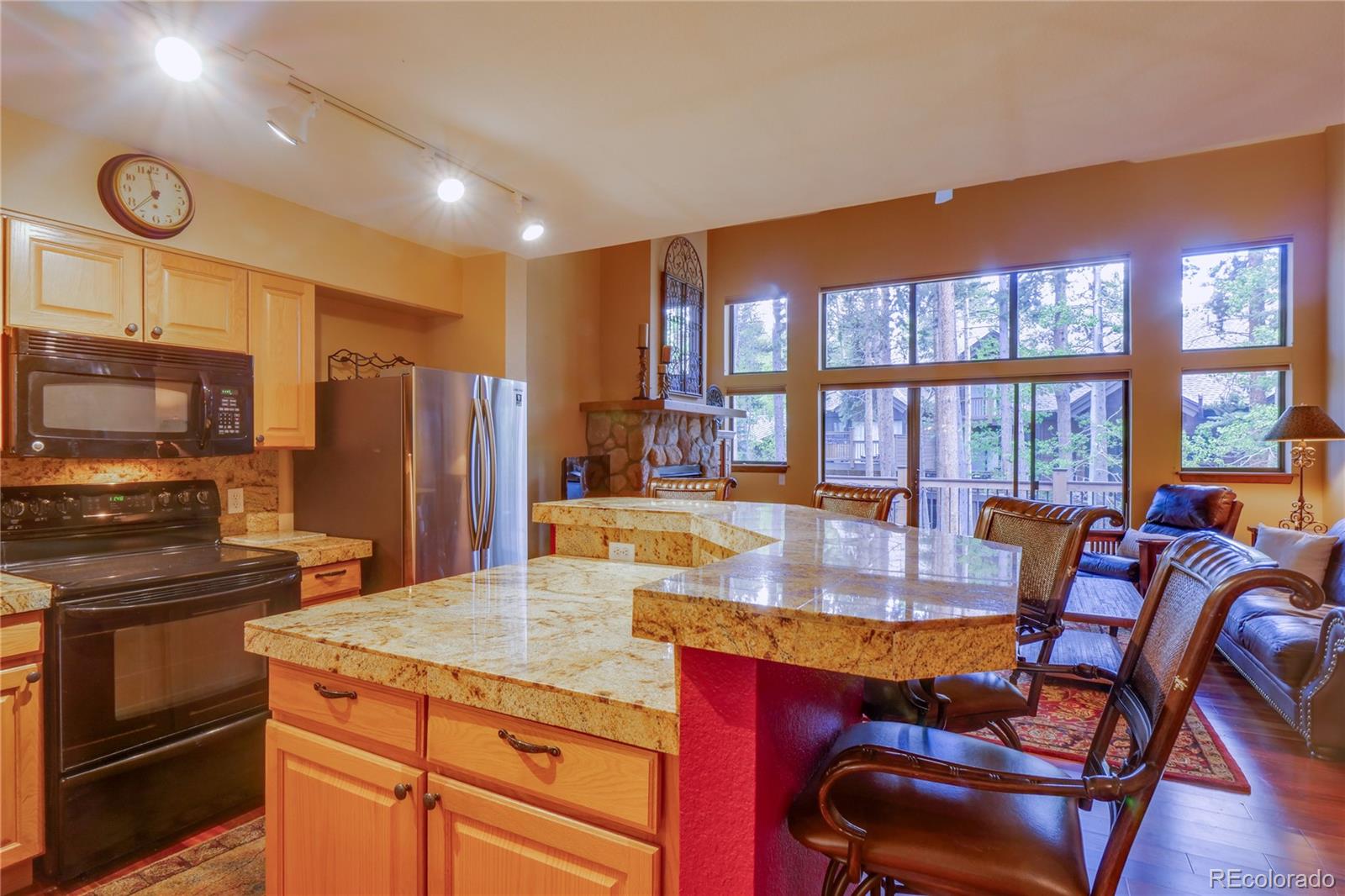 MLS Image #7 for 203  village point drive,breckenridge, Colorado