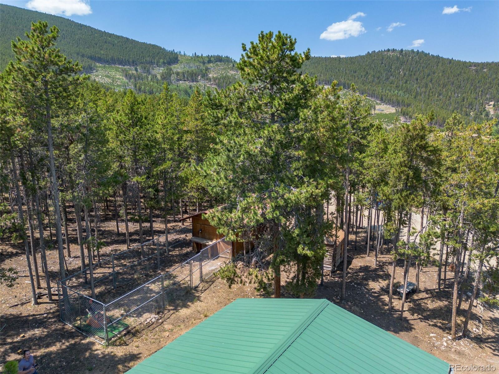 MLS Image #29 for 28  deer road,evergreen, Colorado