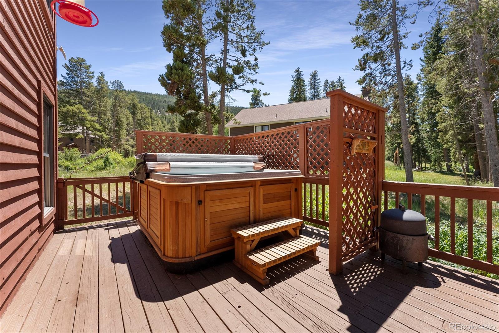 MLS Image #18 for 112  grey squirrel lane lane,breckenridge, Colorado