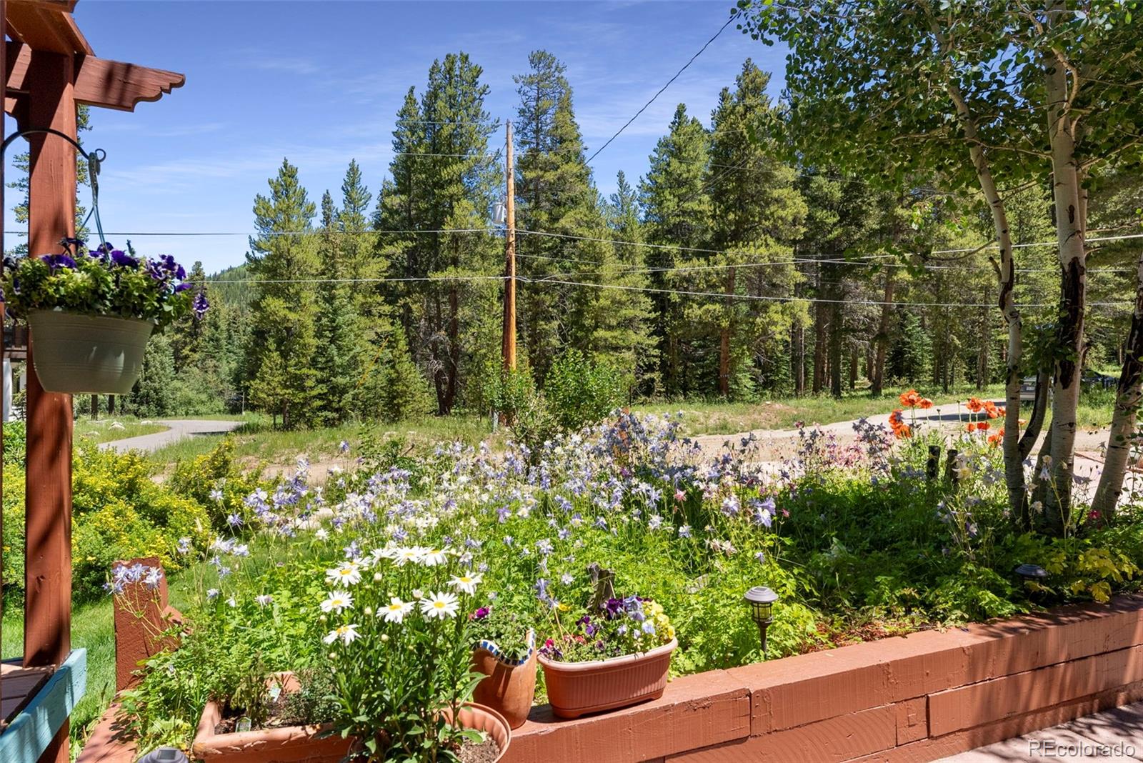 MLS Image #38 for 112  grey squirrel lane lane,breckenridge, Colorado