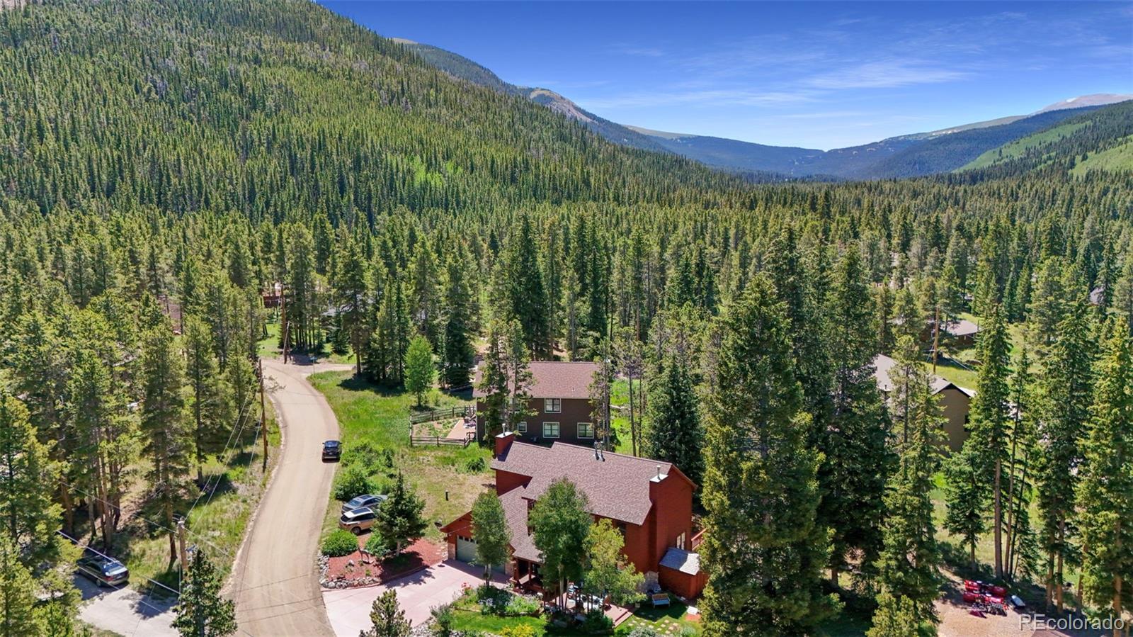 MLS Image #45 for 112  grey squirrel lane lane,breckenridge, Colorado