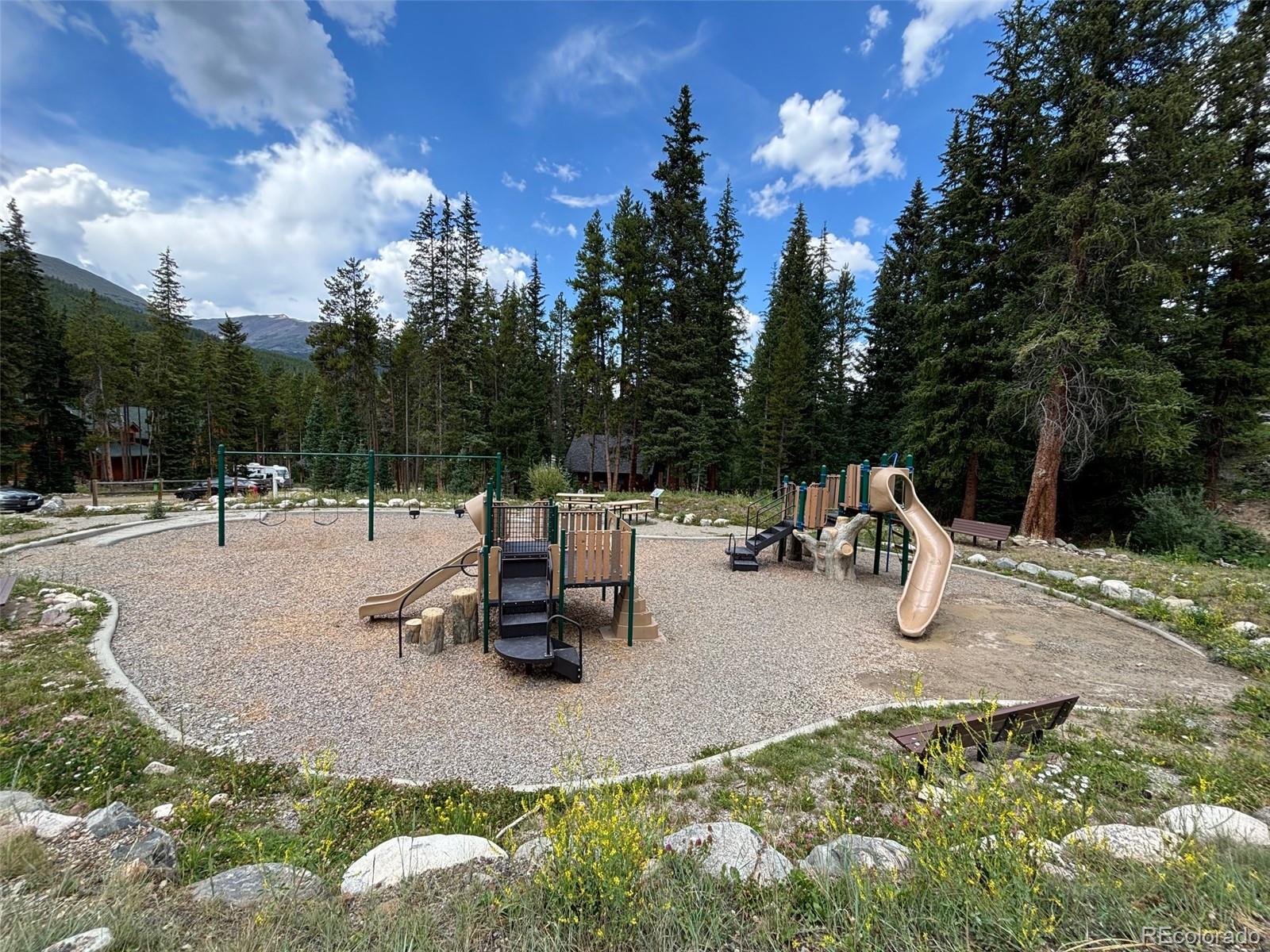 MLS Image #48 for 112  grey squirrel lane lane,breckenridge, Colorado