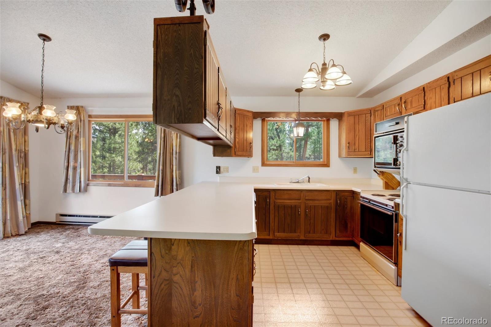 MLS Image #19 for 14651  westcreek road,woodland park, Colorado