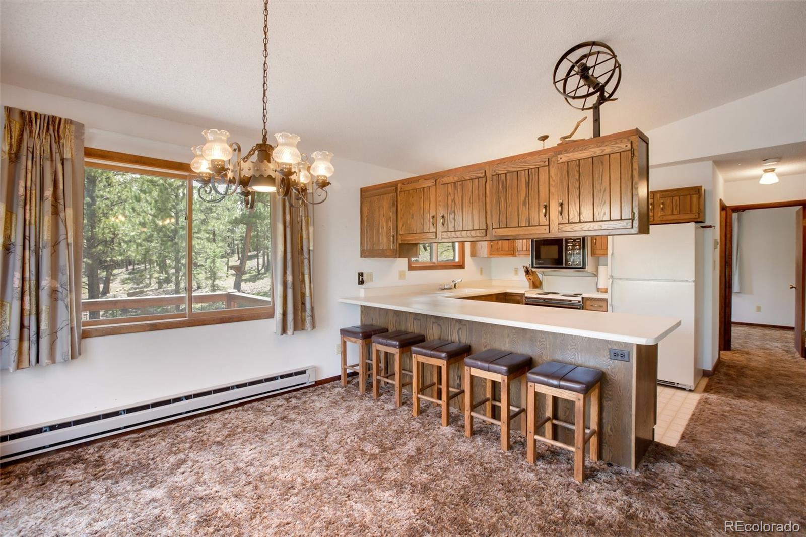 MLS Image #20 for 14651  westcreek road,woodland park, Colorado