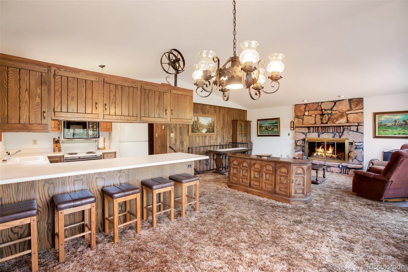 MLS Image #21 for 14651  westcreek road,woodland park, Colorado