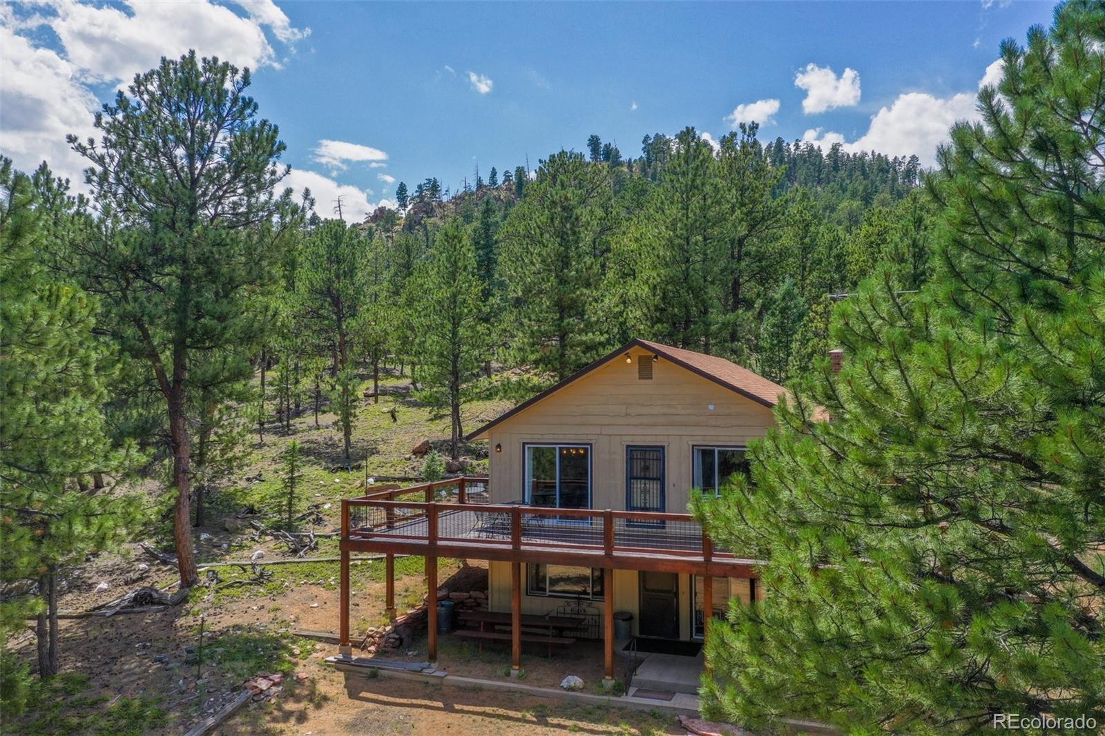 MLS Image #4 for 14651  westcreek road,woodland park, Colorado