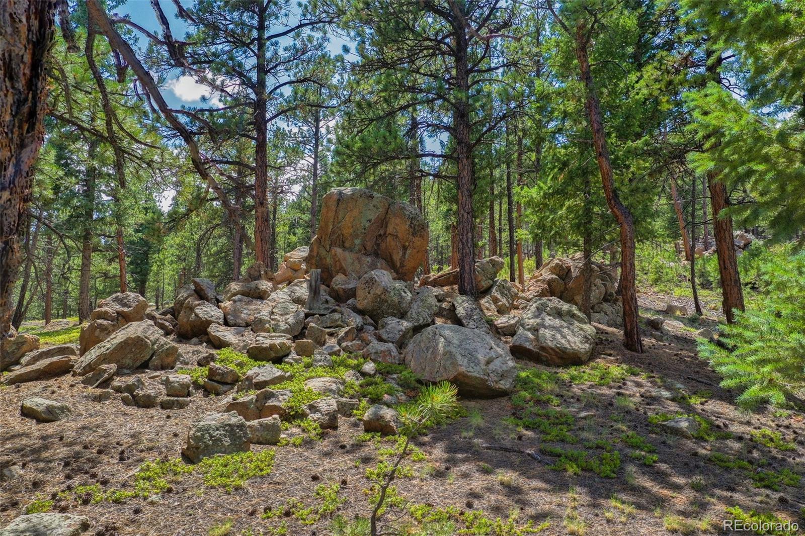 MLS Image #43 for 14651  westcreek road,woodland park, Colorado