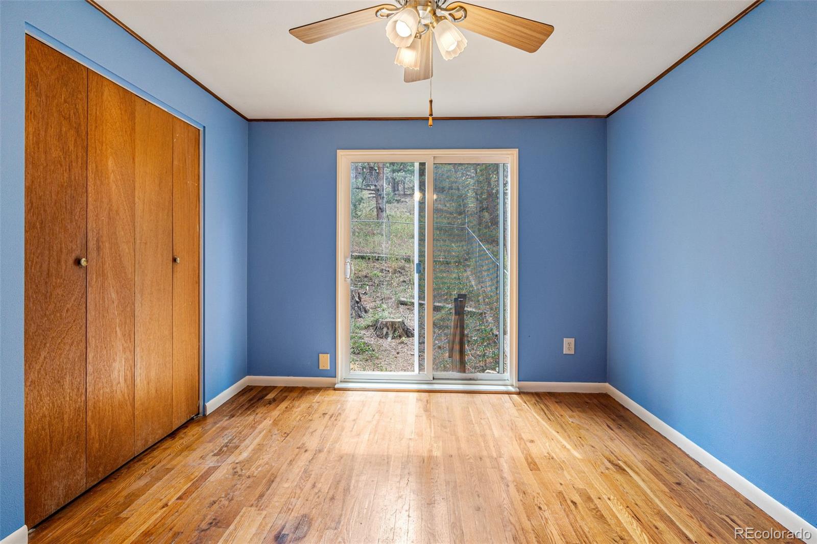 MLS Image #16 for 333  pinewood drive,lyons, Colorado