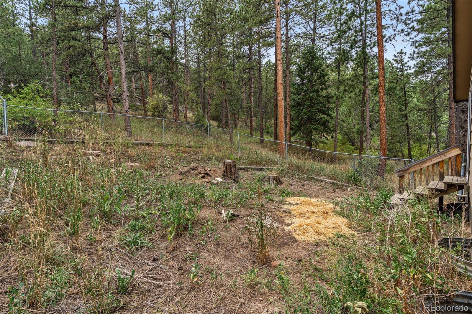 MLS Image #29 for 333  pinewood drive,lyons, Colorado