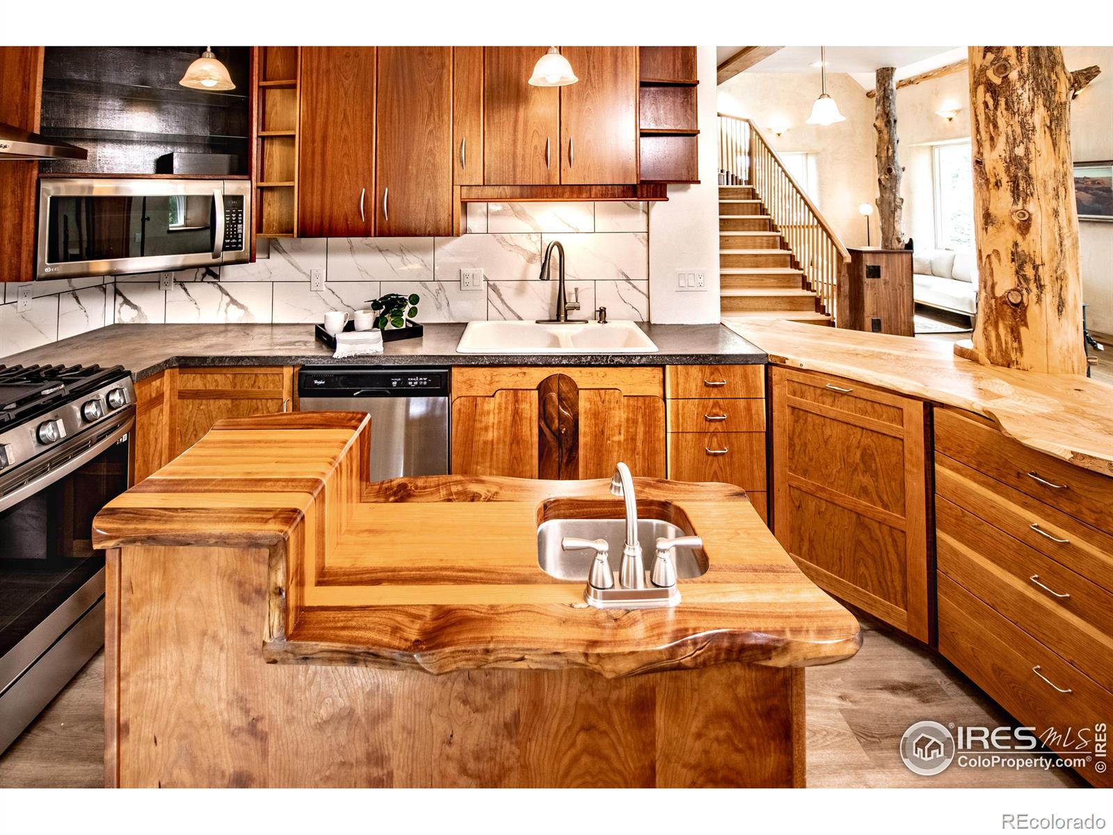 MLS Image #5 for 138  palamino lane,boulder, Colorado