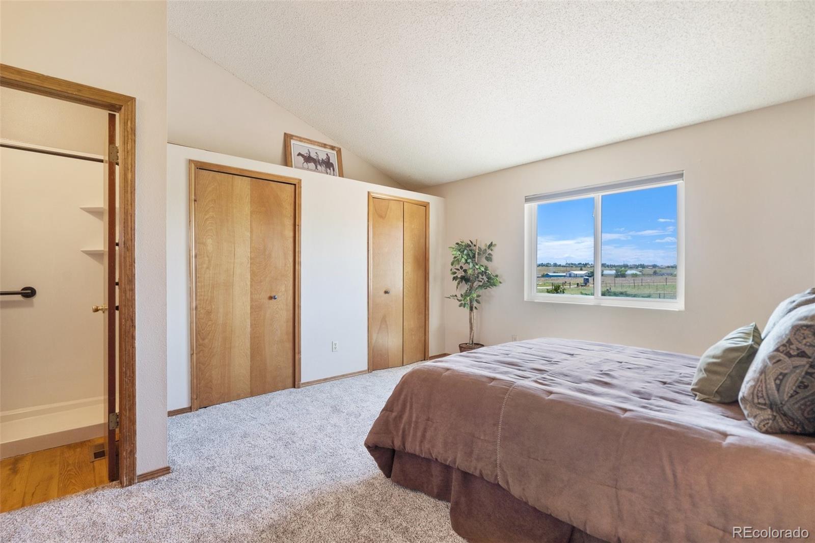 MLS Image #24 for 13515  halleluiah trail,elbert, Colorado