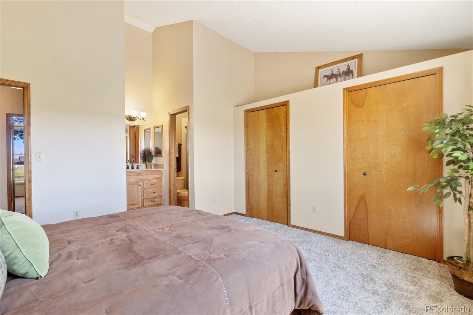 MLS Image #28 for 13515  halleluiah trail,elbert, Colorado