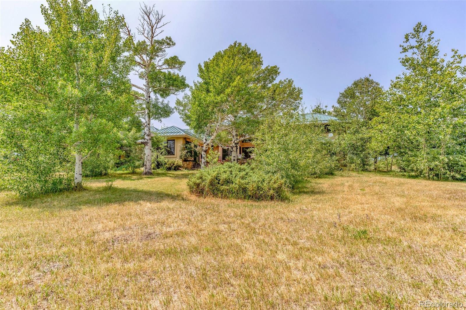 MLS Image #0 for 181 s hennequin creek drive,westcliffe, Colorado