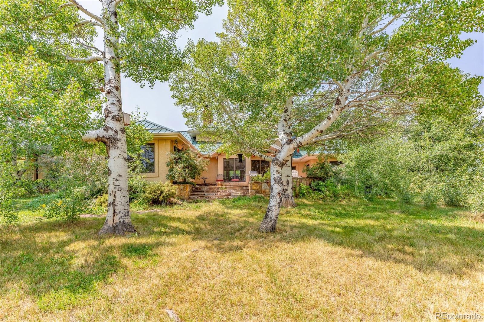 MLS Image #2 for 181 s hennequin creek drive,westcliffe, Colorado