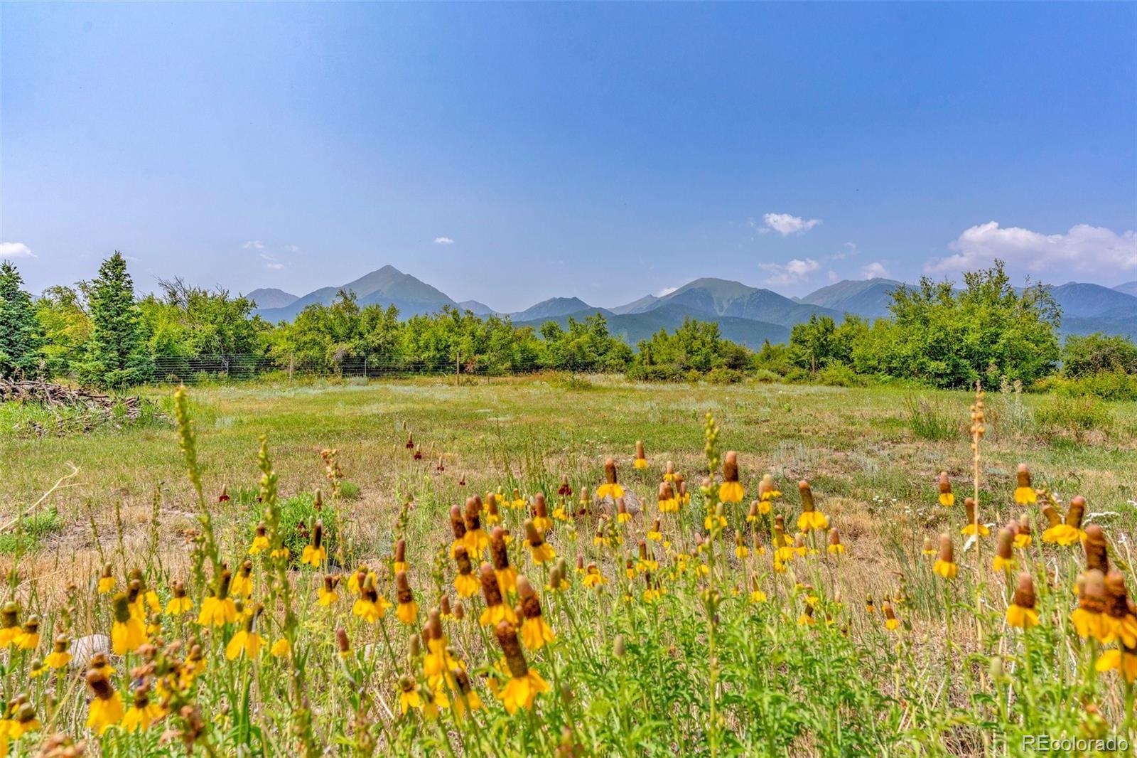 MLS Image #42 for 181 s hennequin creek drive,westcliffe, Colorado