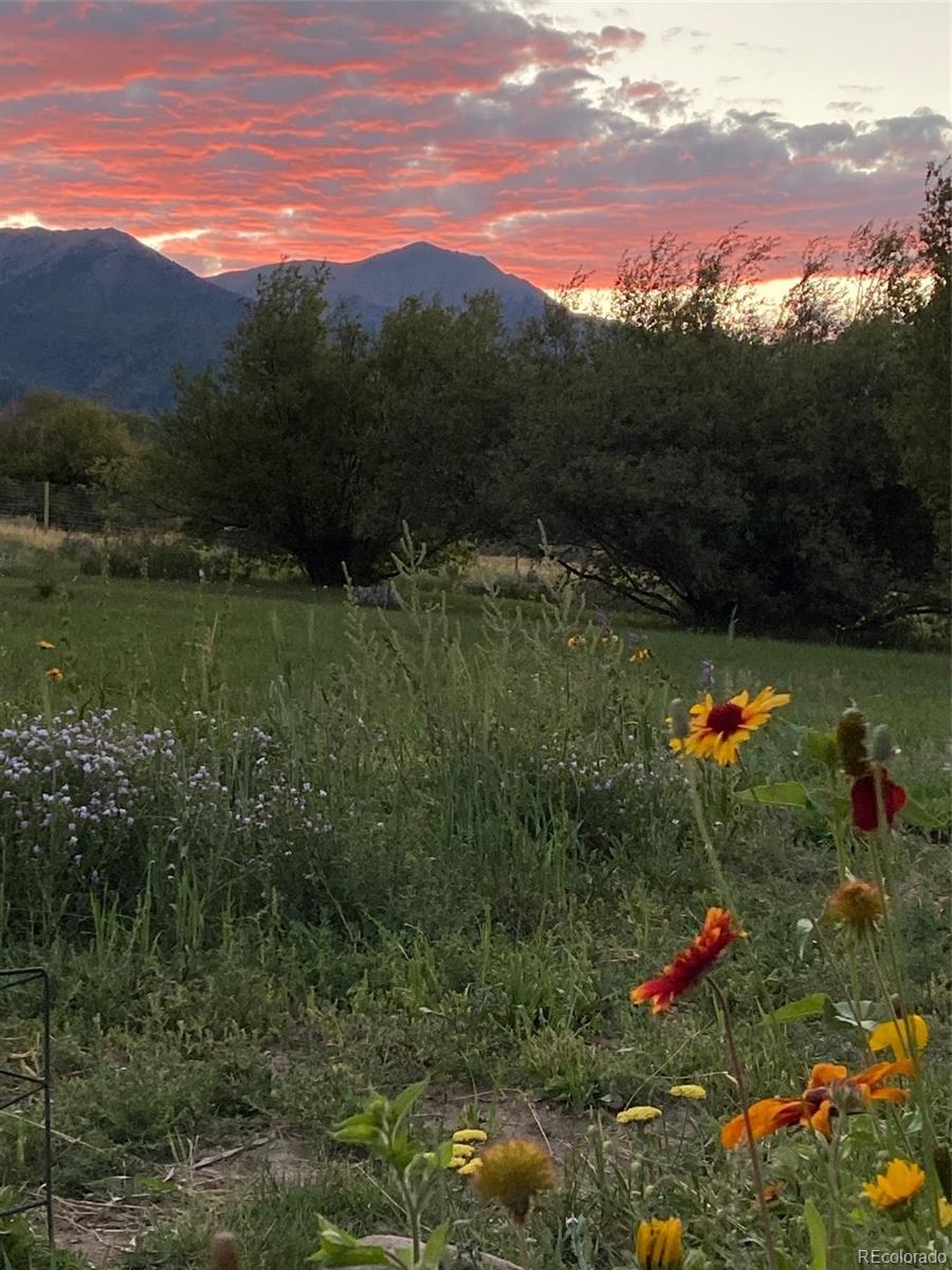 MLS Image #48 for 181 s hennequin creek drive,westcliffe, Colorado