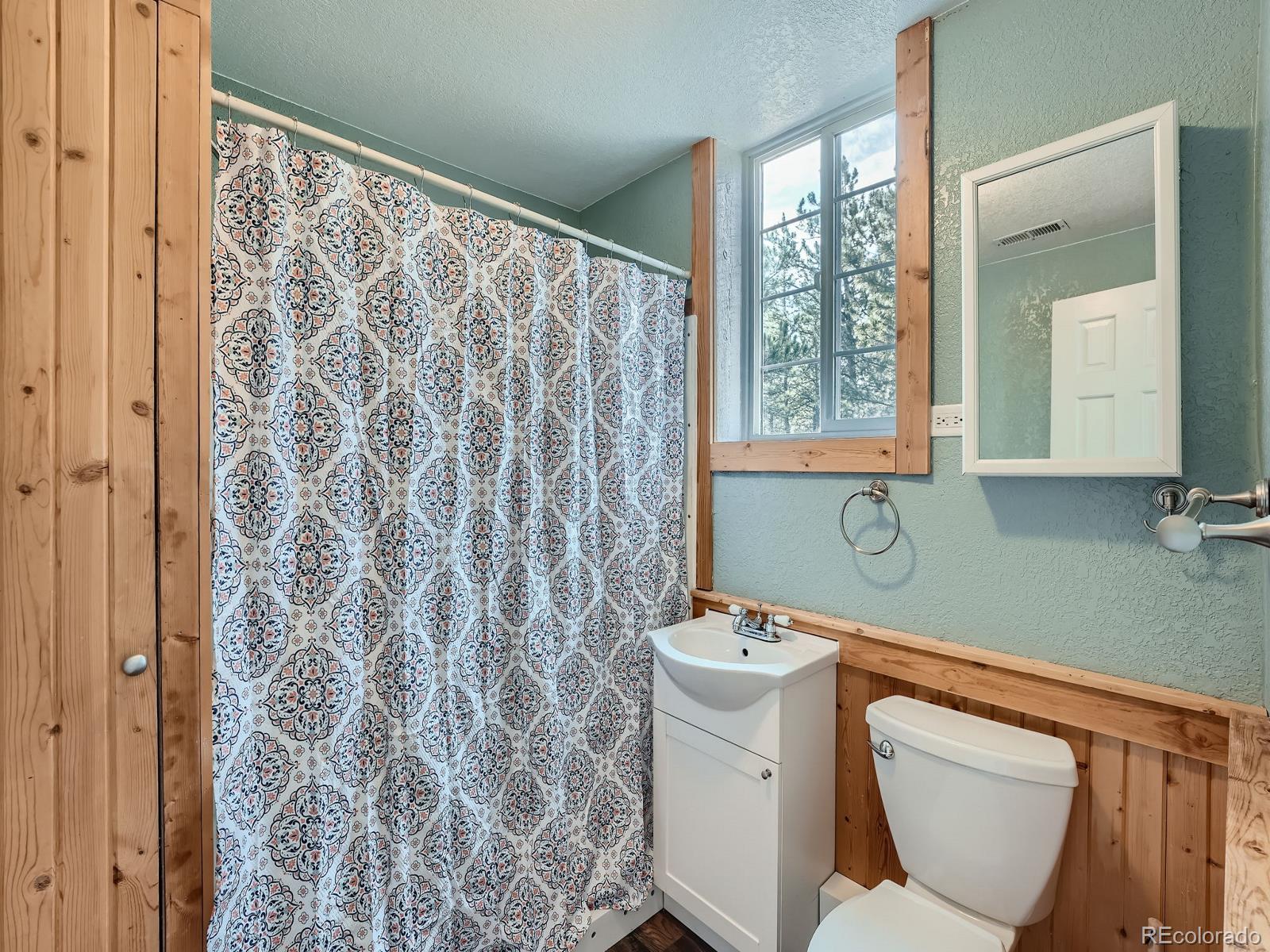 MLS Image #11 for 290  clark road,bailey, Colorado