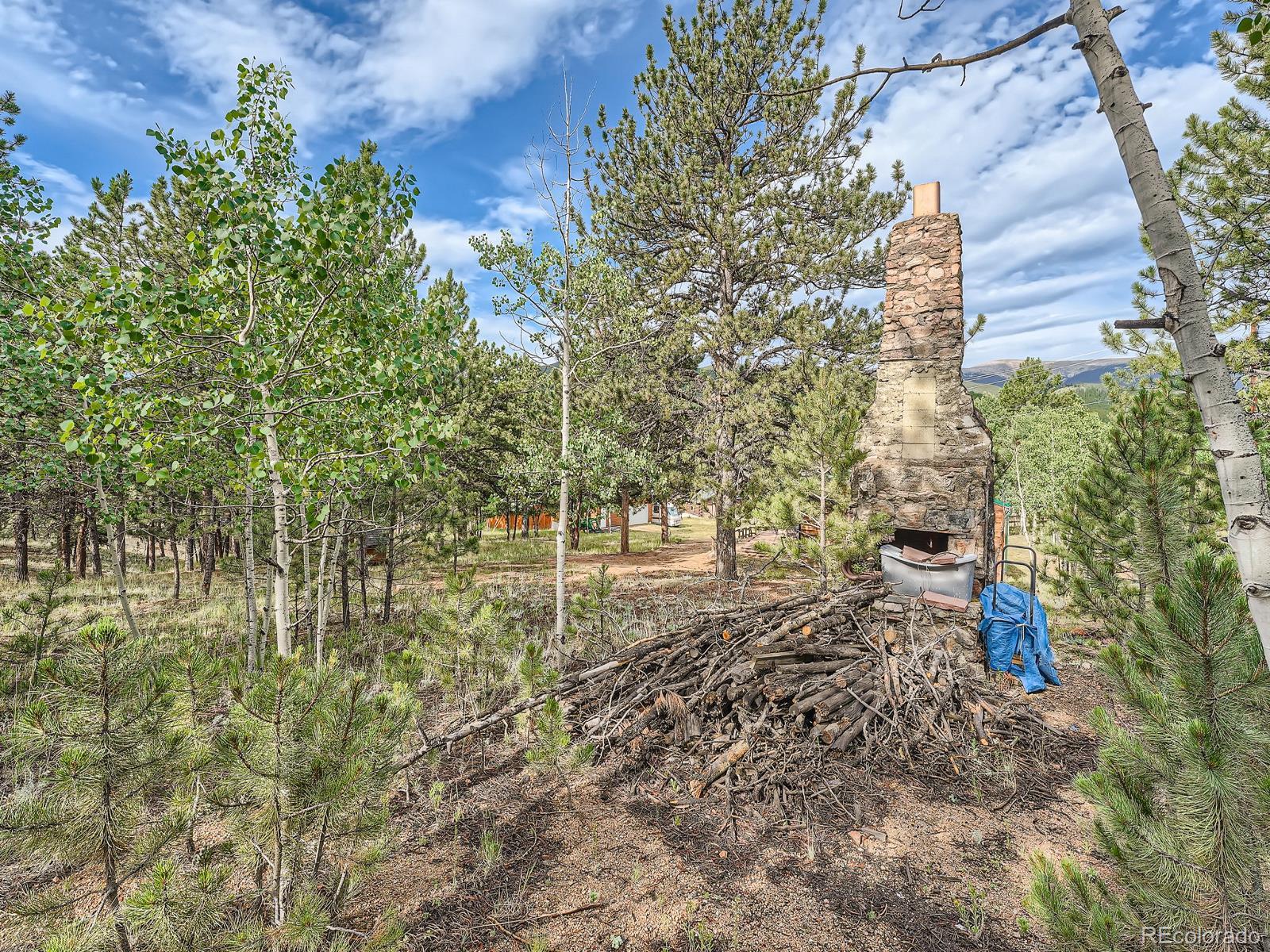 MLS Image #21 for 290  clark road,bailey, Colorado