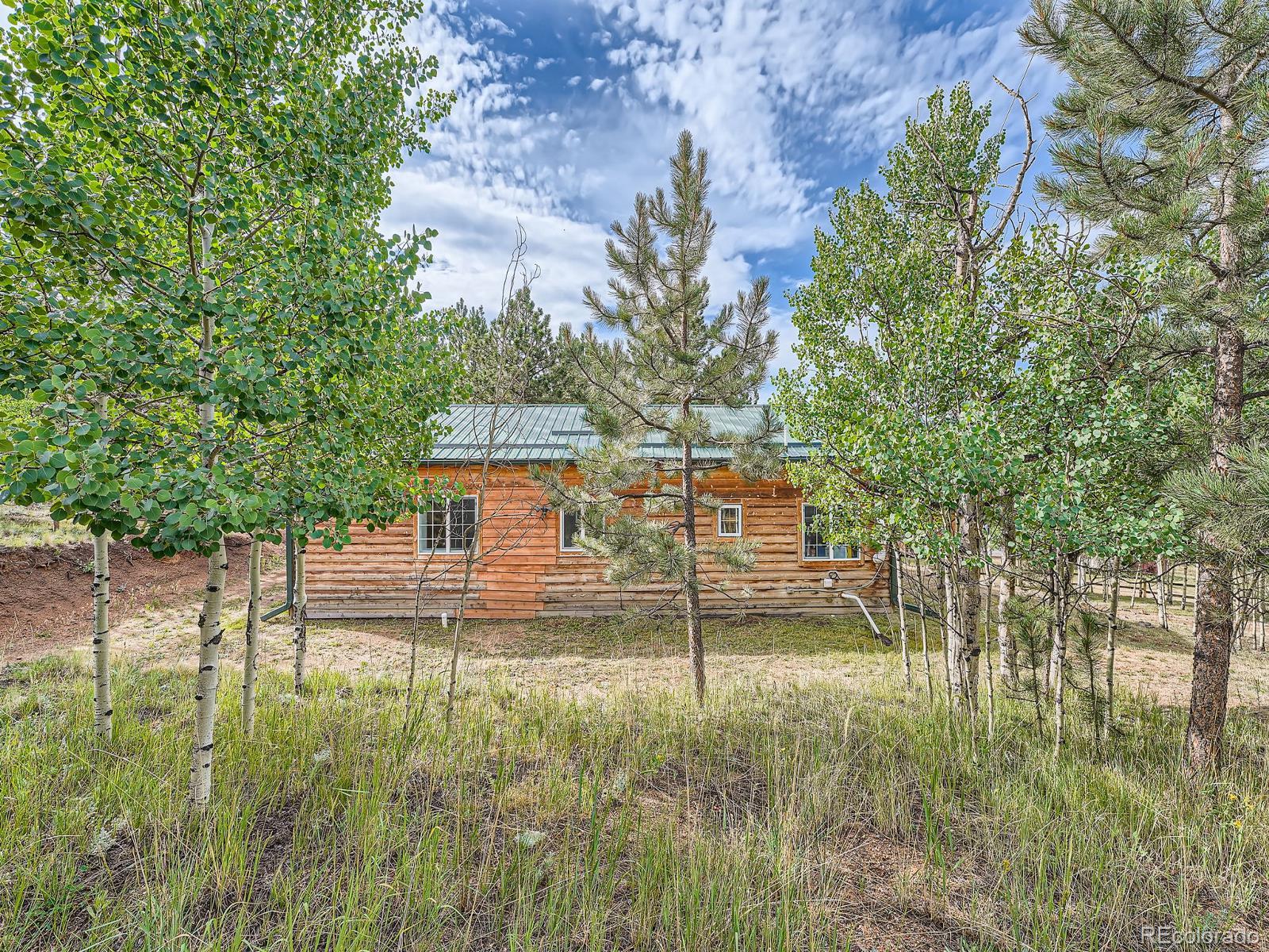 MLS Image #25 for 290  clark road,bailey, Colorado