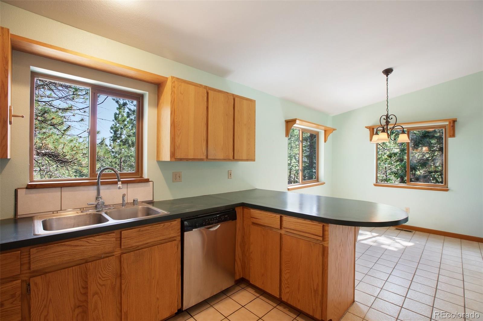 MLS Image #12 for 1151  spruce ridge lane,woodland park, Colorado