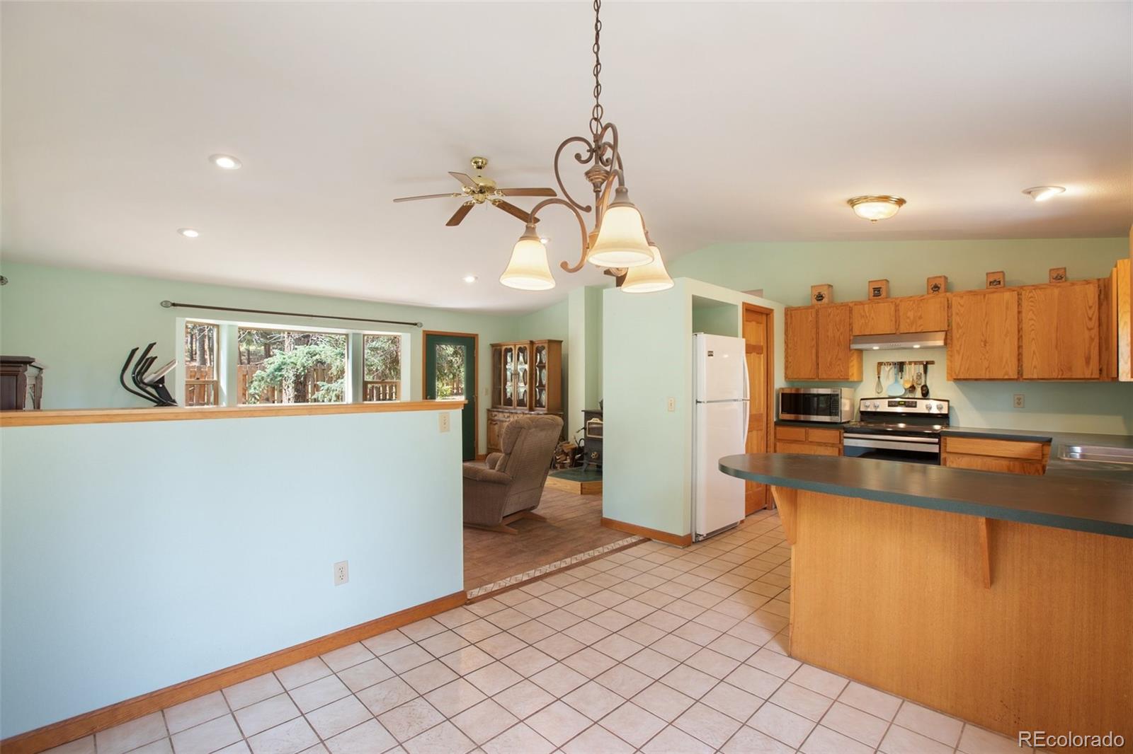 MLS Image #15 for 1151  spruce ridge lane,woodland park, Colorado