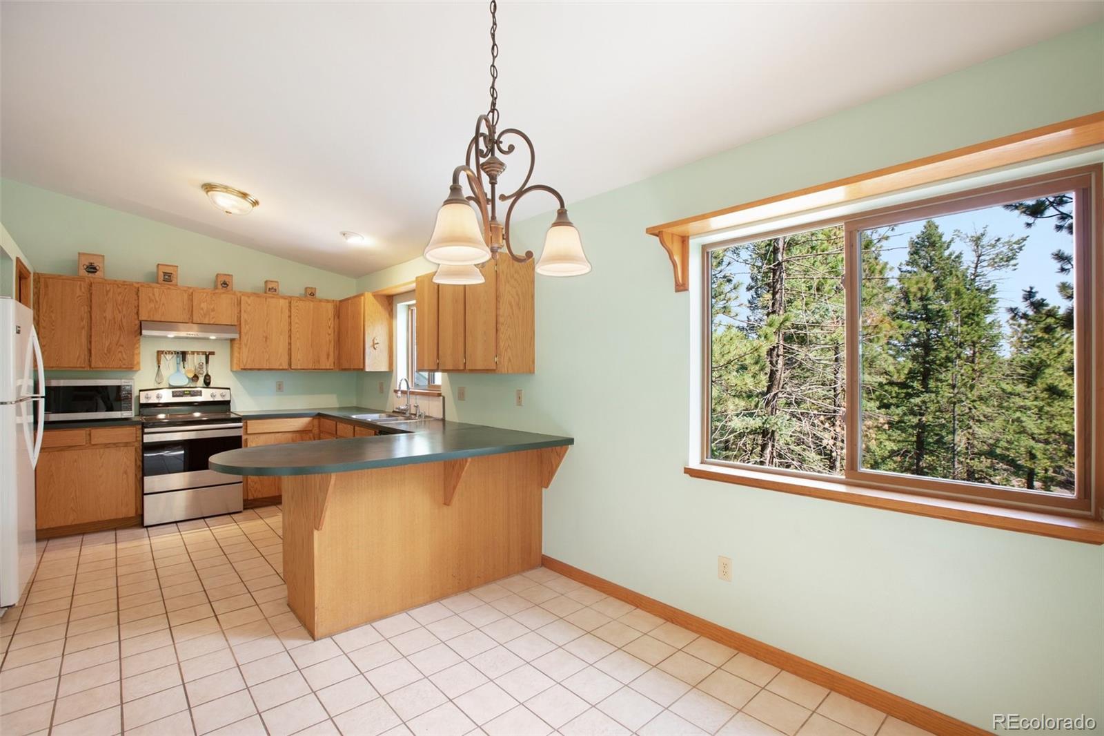 MLS Image #16 for 1151  spruce ridge lane,woodland park, Colorado