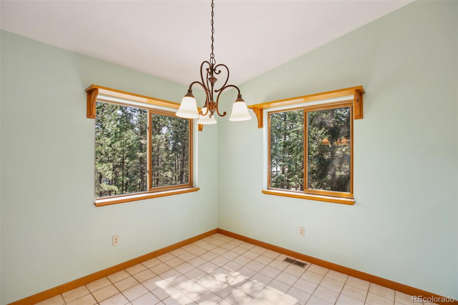 MLS Image #17 for 1151  spruce ridge lane,woodland park, Colorado