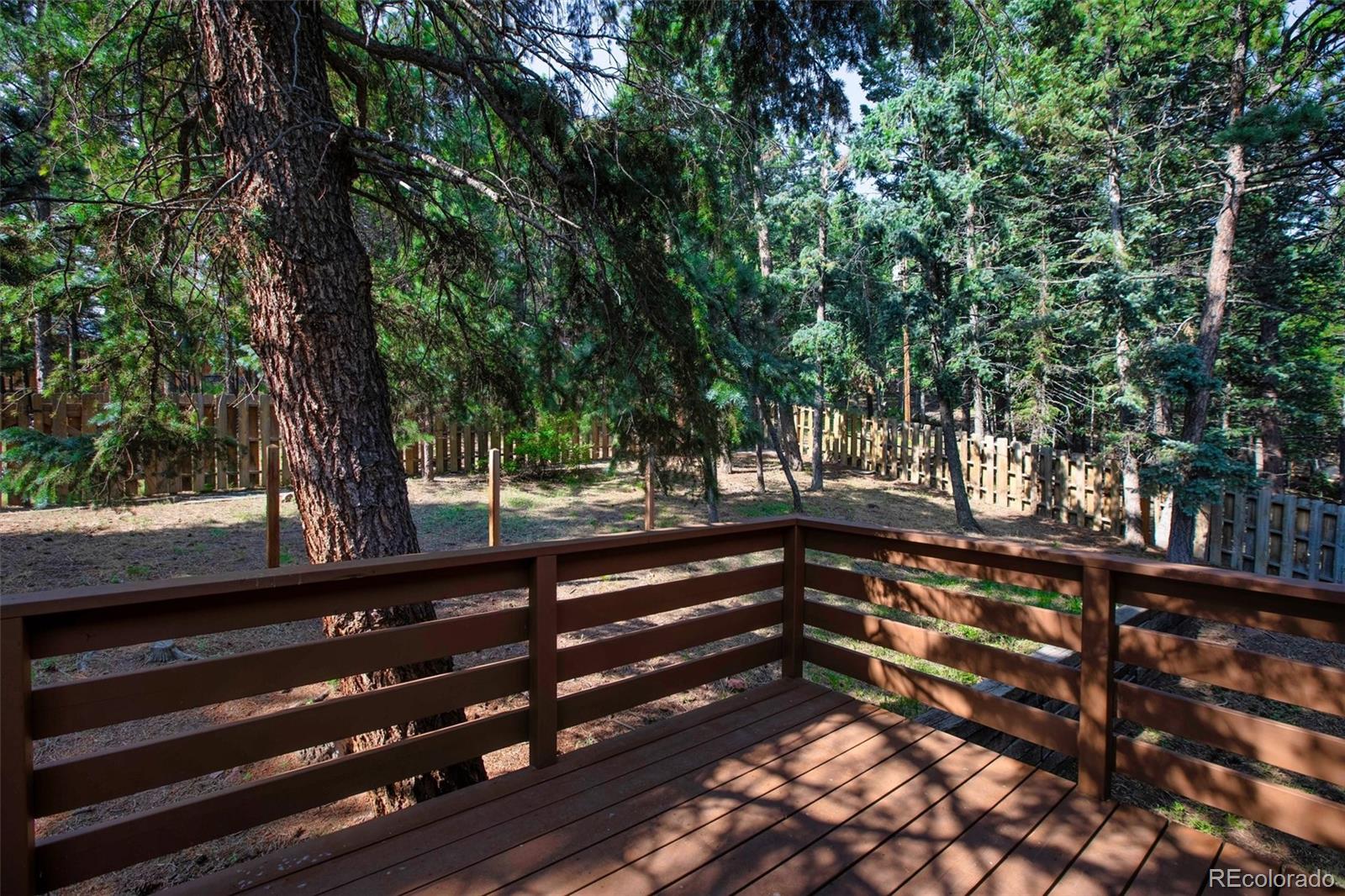 MLS Image #36 for 1151  spruce ridge lane,woodland park, Colorado