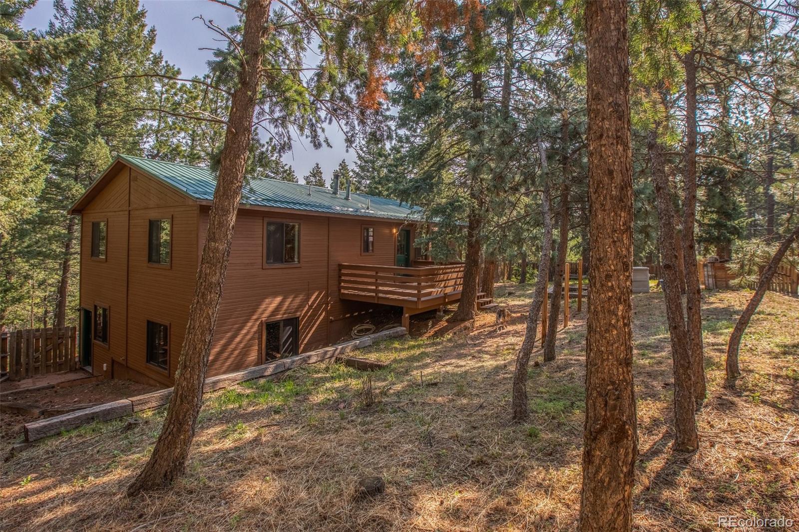 MLS Image #39 for 1151  spruce ridge lane,woodland park, Colorado