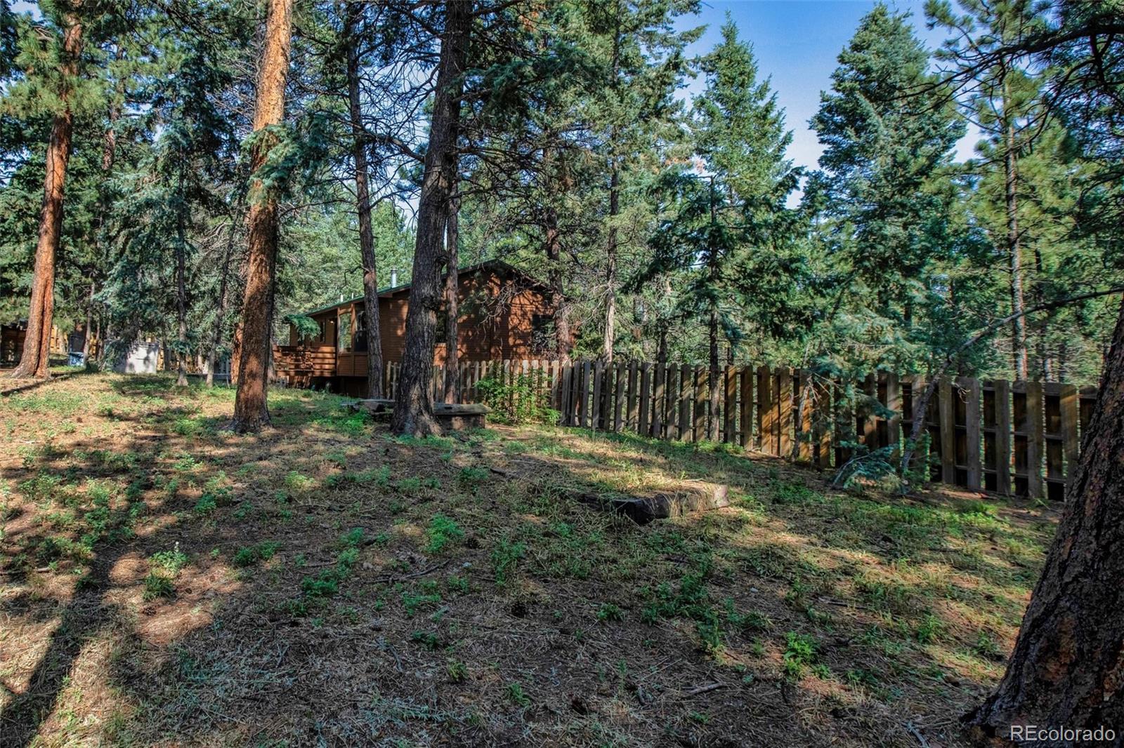 MLS Image #42 for 1151  spruce ridge lane,woodland park, Colorado