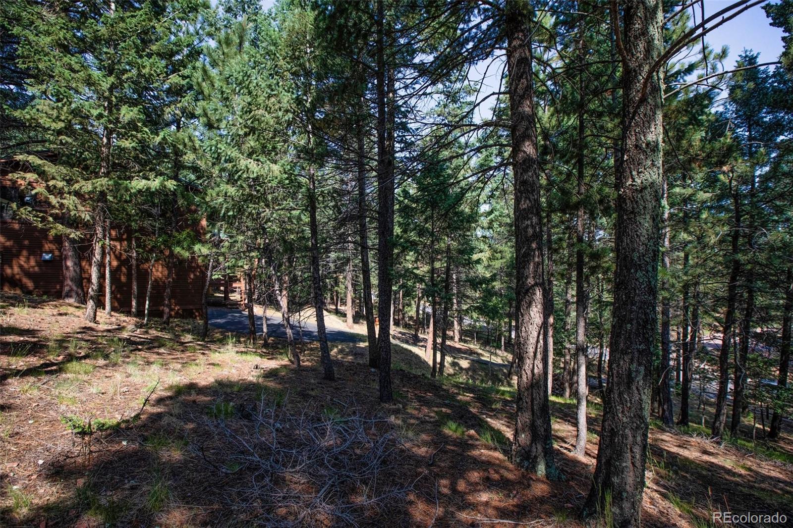 MLS Image #43 for 1151  spruce ridge lane,woodland park, Colorado