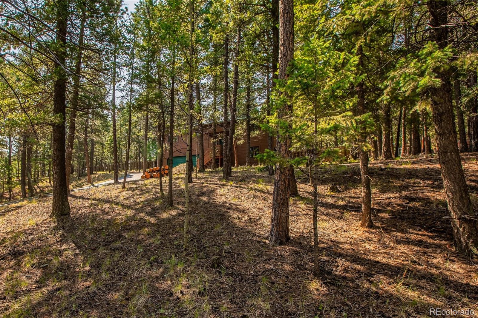 MLS Image #44 for 1151  spruce ridge lane,woodland park, Colorado