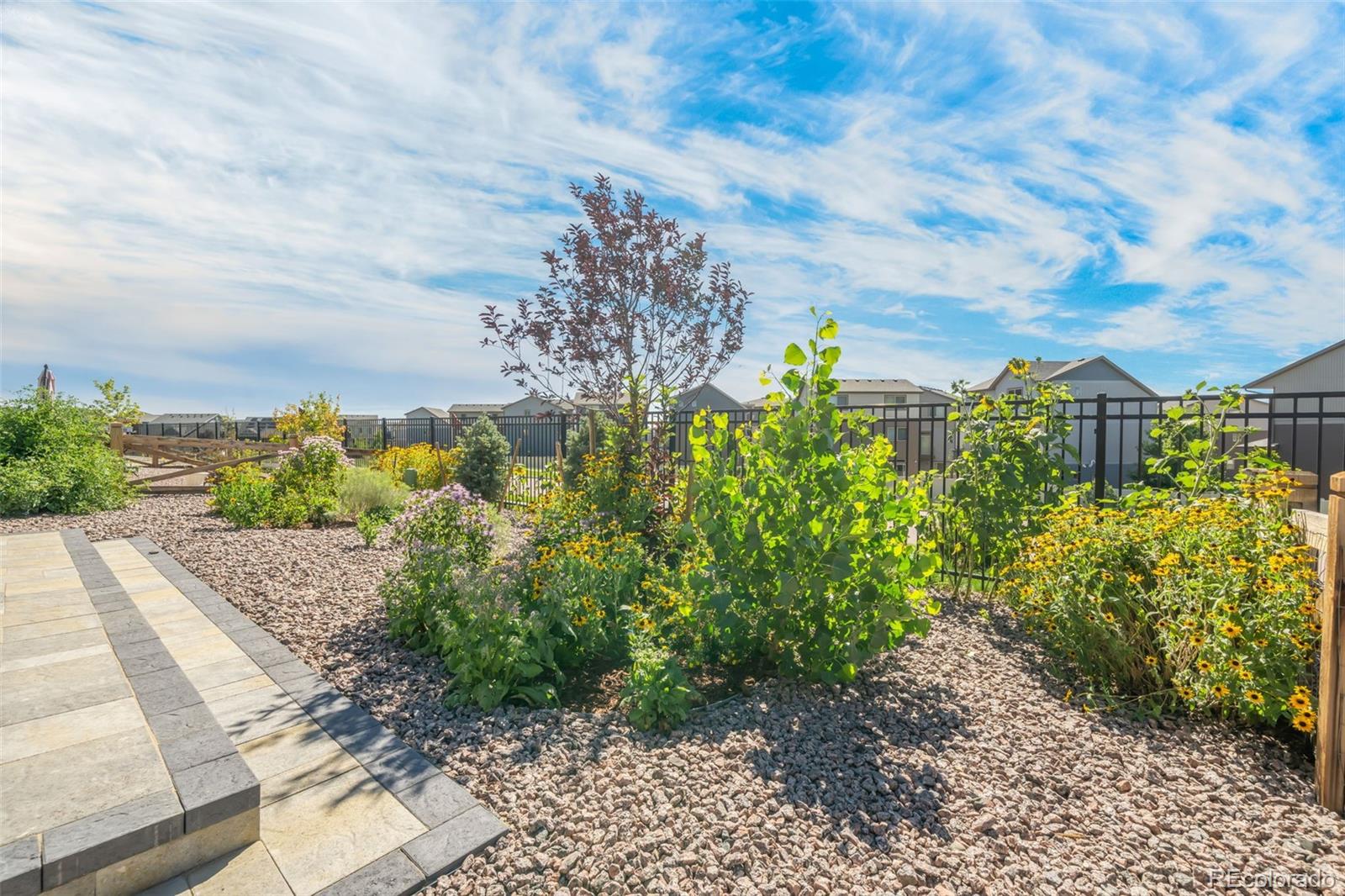 MLS Image #38 for 6129  torrisdale view,colorado springs, Colorado