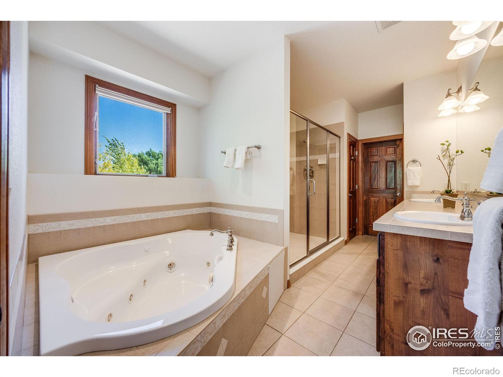 MLS Image #14 for 1190  osprey court,windsor, Colorado