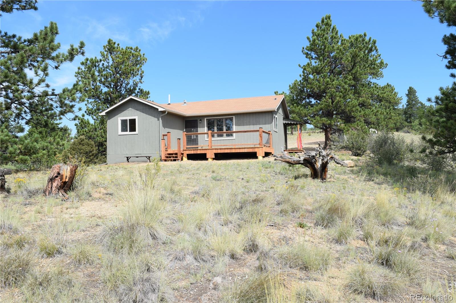 MLS Image #1 for 1651  aspen trail,hartsel, Colorado