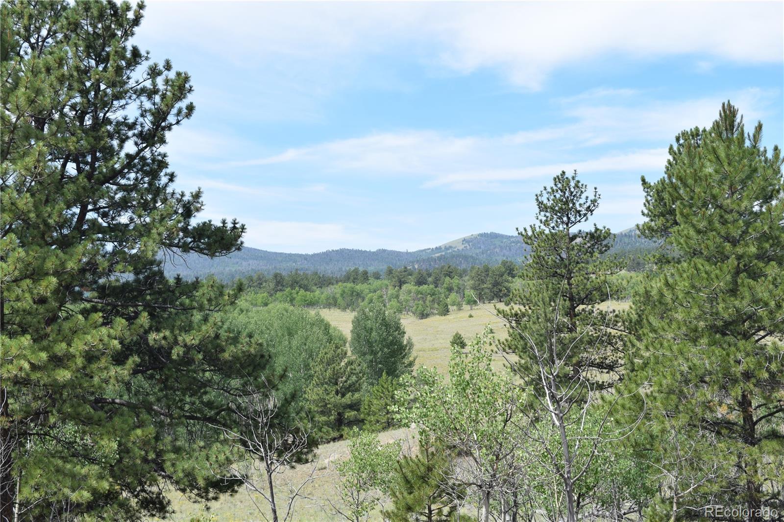 MLS Image #24 for 1651  aspen trail,hartsel, Colorado