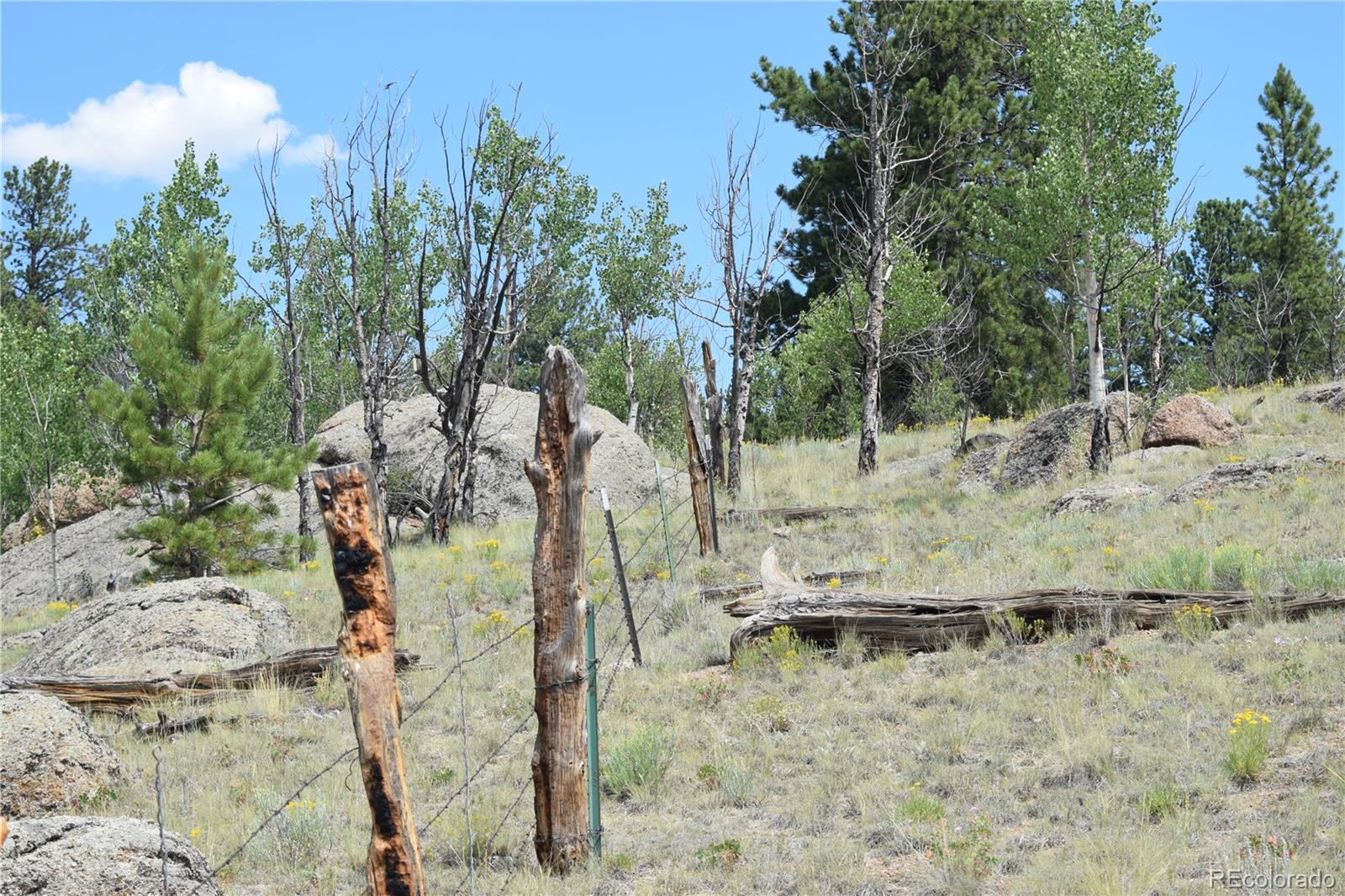 MLS Image #25 for 1651  aspen trail,hartsel, Colorado