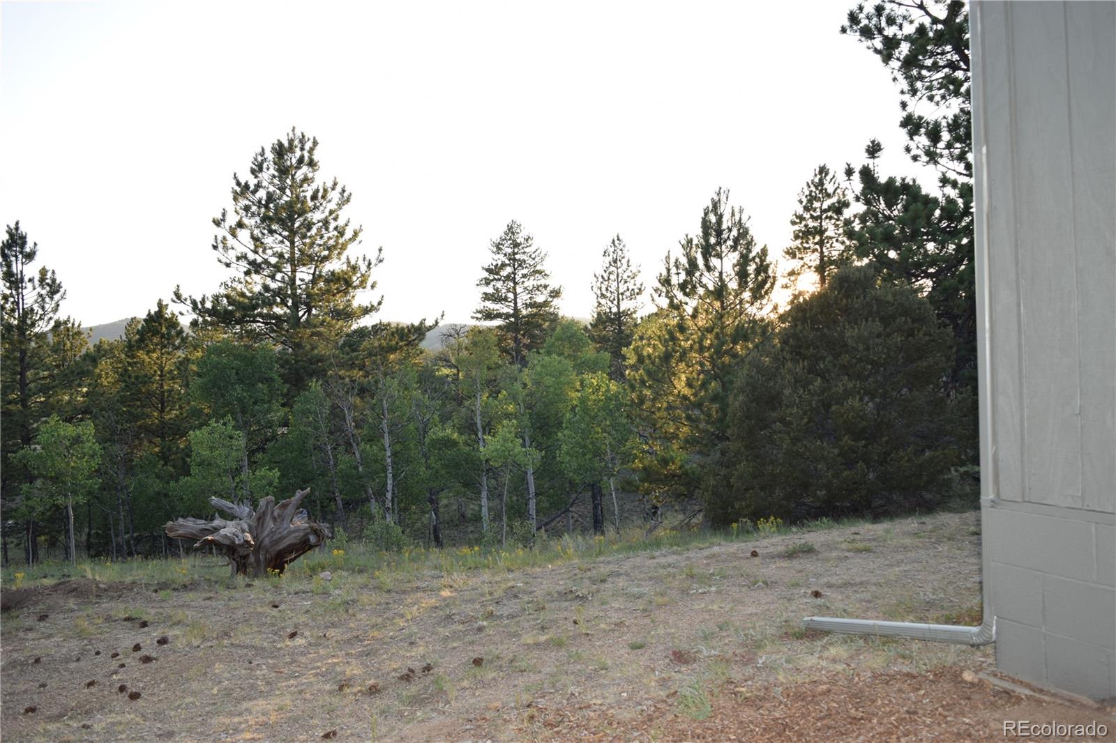 MLS Image #28 for 1651  aspen trail,hartsel, Colorado