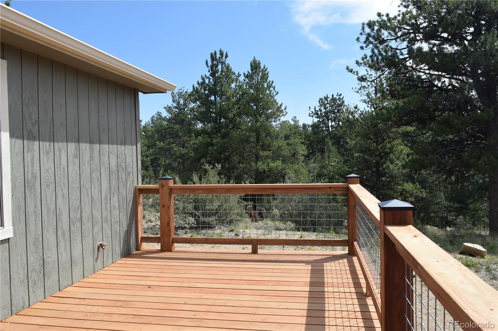 MLS Image #6 for 1651  aspen trail,hartsel, Colorado