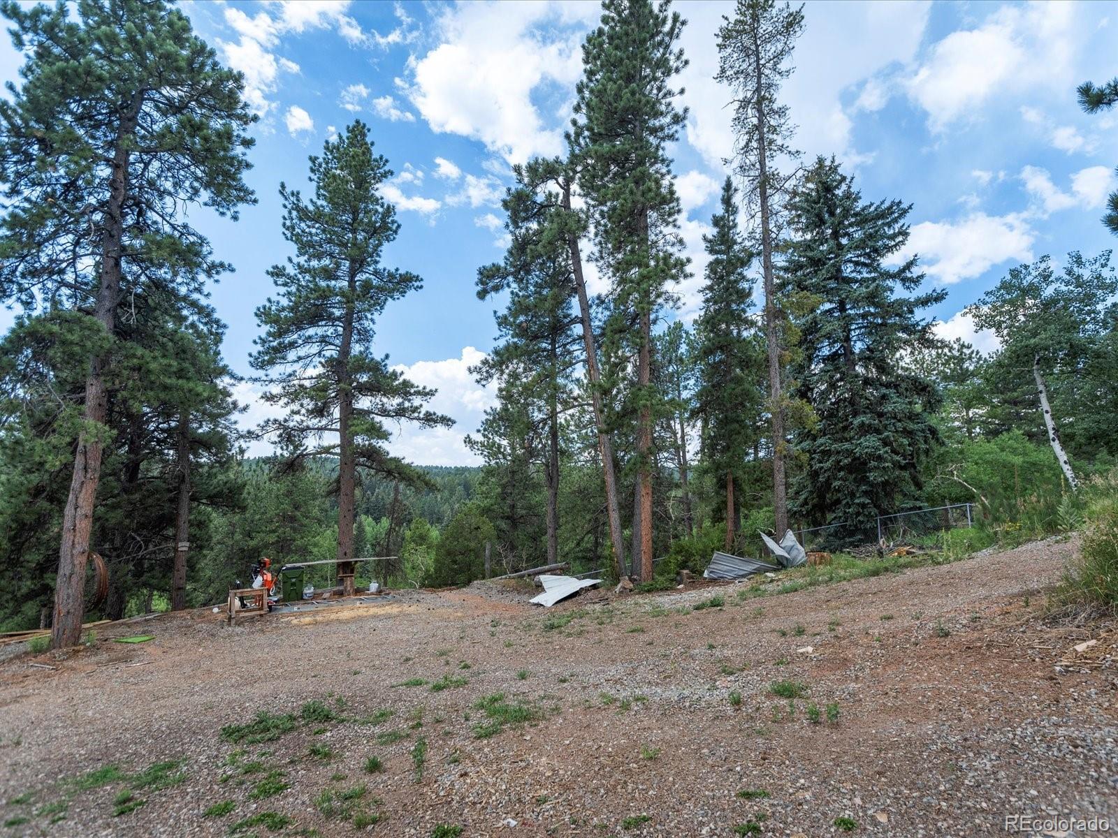 MLS Image #43 for 27685  stagecoach road,conifer, Colorado