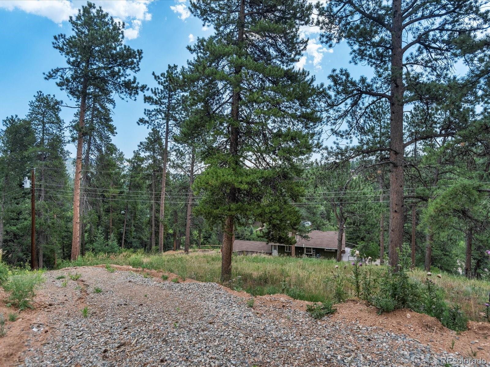 MLS Image #49 for 27685  stagecoach road,conifer, Colorado