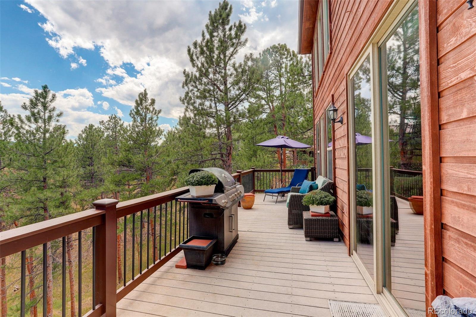 MLS Image #16 for 26226  sweetbriar trail,evergreen, Colorado