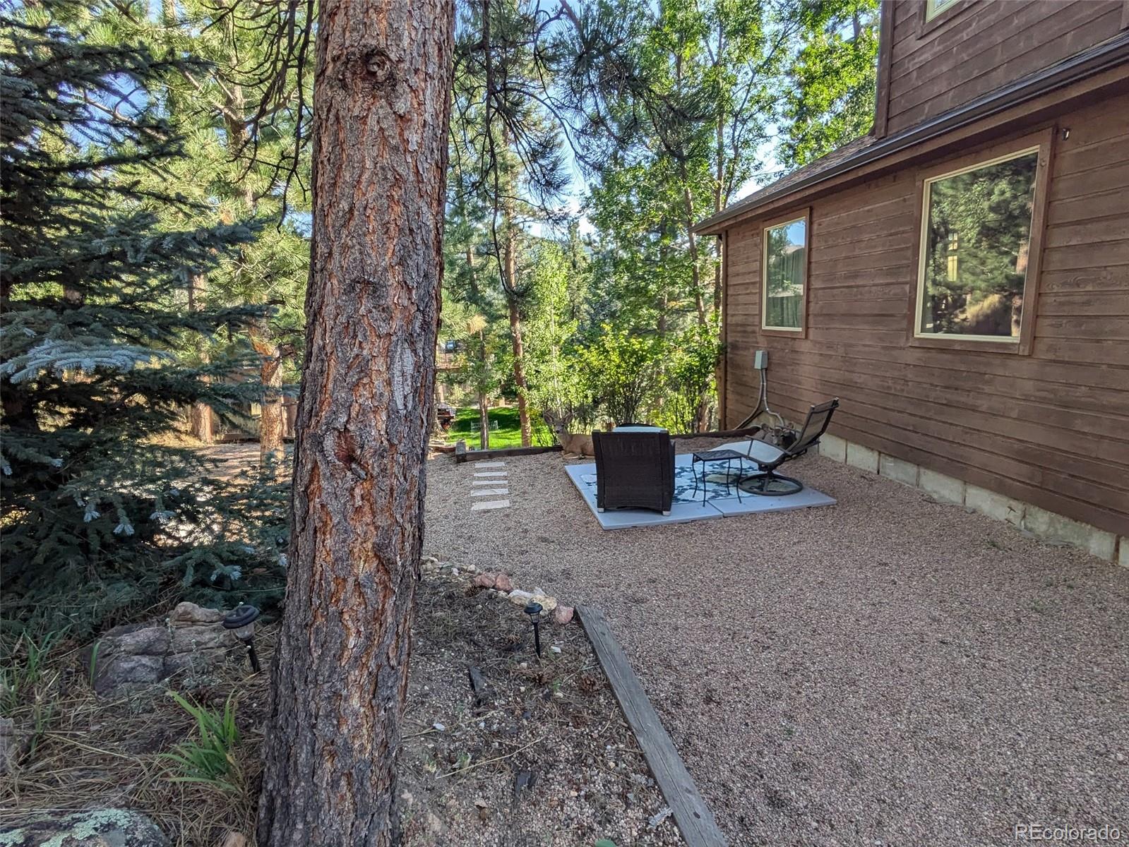 MLS Image #20 for 26226  sweetbriar trail,evergreen, Colorado