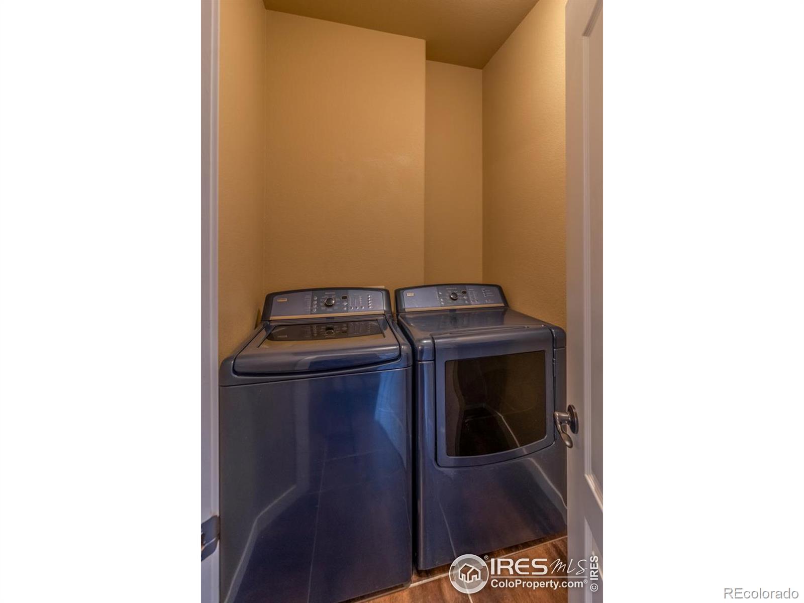 MLS Image #14 for 255  carina circle,loveland, Colorado