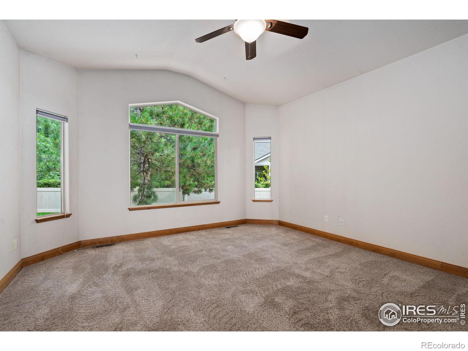 MLS Image #14 for 1089  norway maple drive,loveland, Colorado