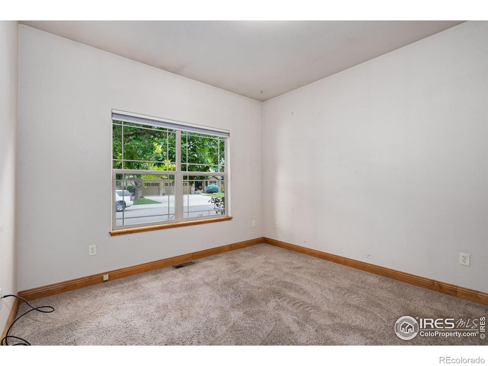 MLS Image #19 for 1089  norway maple drive,loveland, Colorado