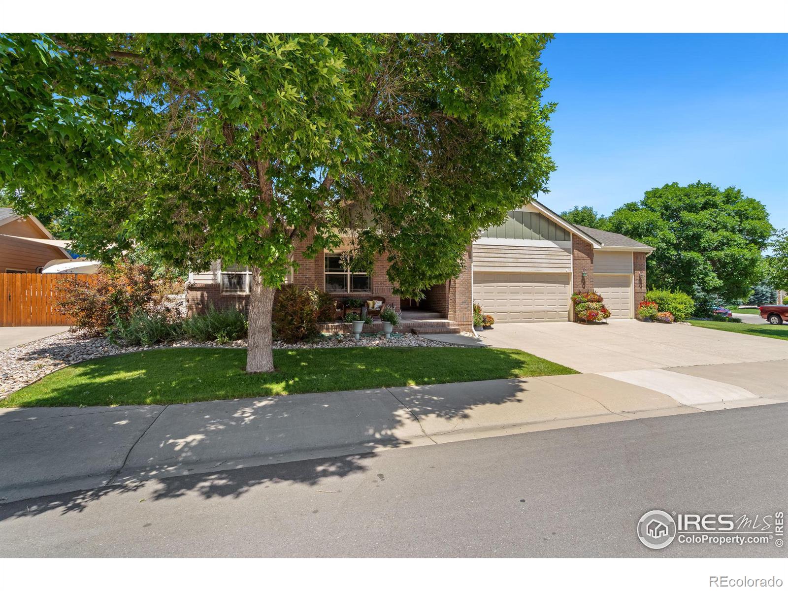 MLS Image #3 for 1089  norway maple drive,loveland, Colorado