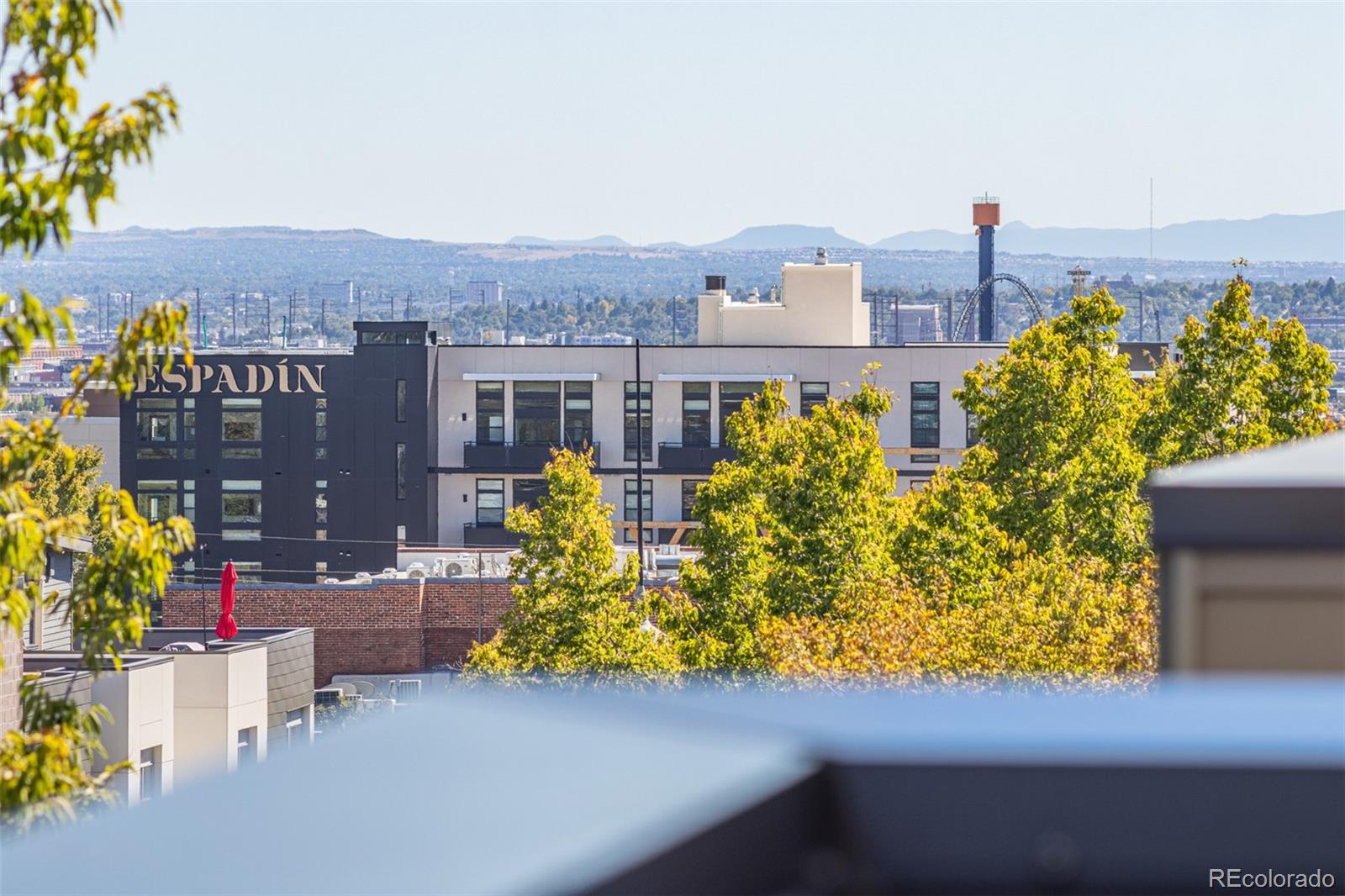 MLS Image #39 for 3115  zuni street,denver, Colorado