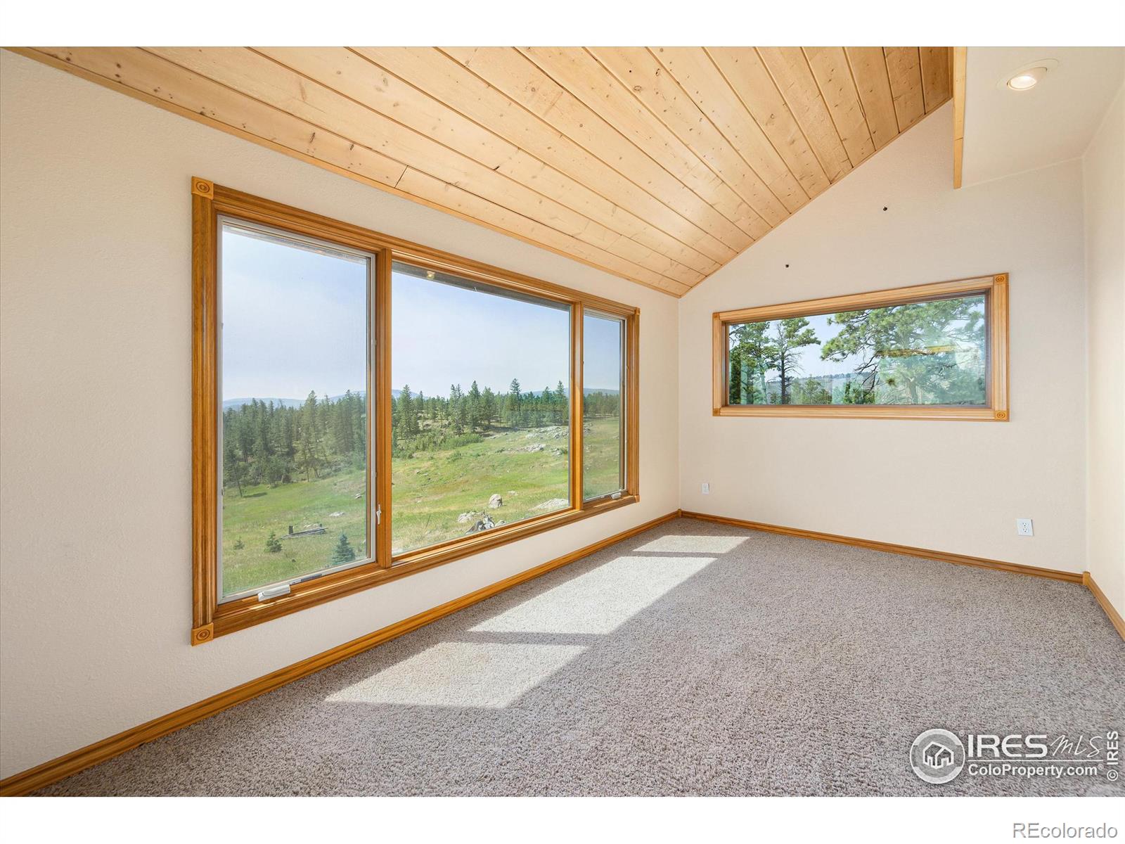 MLS Image #14 for 3805  davis ranch road,bellvue, Colorado